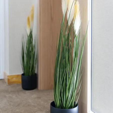 Move In - アパートホテル ベオグラード